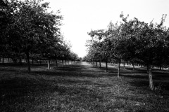 photographe-reportage-photo-agriculture-marseille