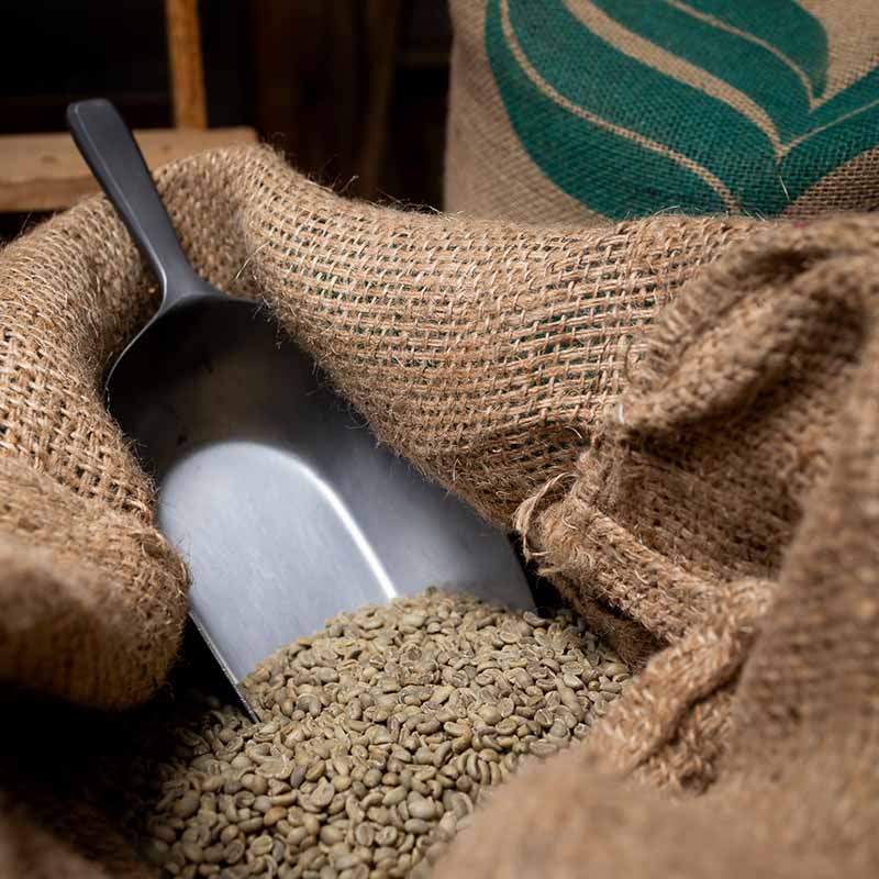 photo reportage artisan marseille Photo artisan Marseille : grains de café vert dans un sac en toile de jute avec une pelle en métal chez un torréfacteur.
