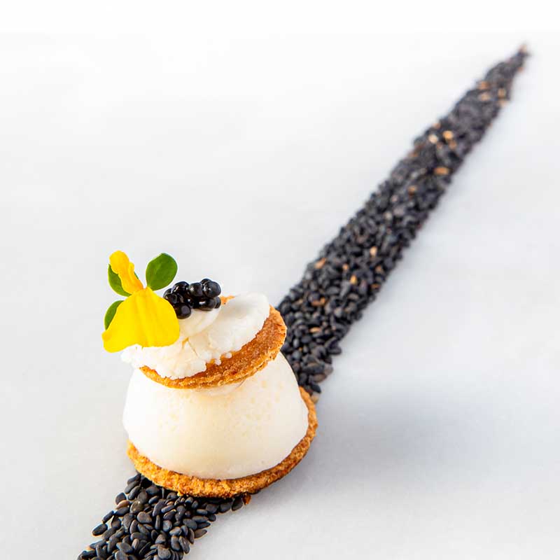 photo reportage culinaire Marseille Photographie culinaire d'un dessert raffiné avec sorbet, tuile craquante et mûre sur un lit de sésame noir à Marseille.