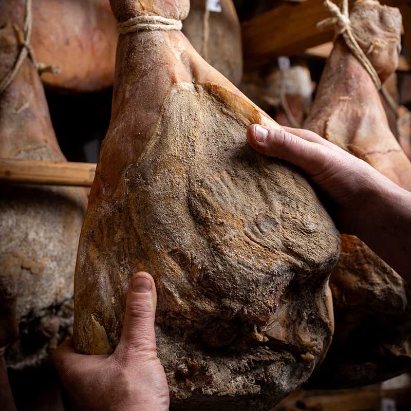 photo reportage exploitation agricole marseille Photo agriculture Marseille : mains d'un producteur tenant un jambon sec en cours d'affinage dans un séchoir traditionnel.