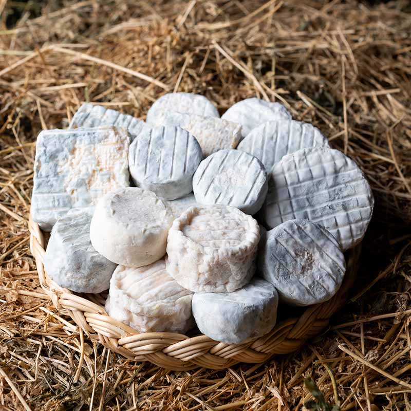 photographe reportage agriculture production fromagerie marseille Photo agriculture Marseille : assortiment de fromages de chèvre artisanaux présentés dans un panier d'osier sur de la paille.